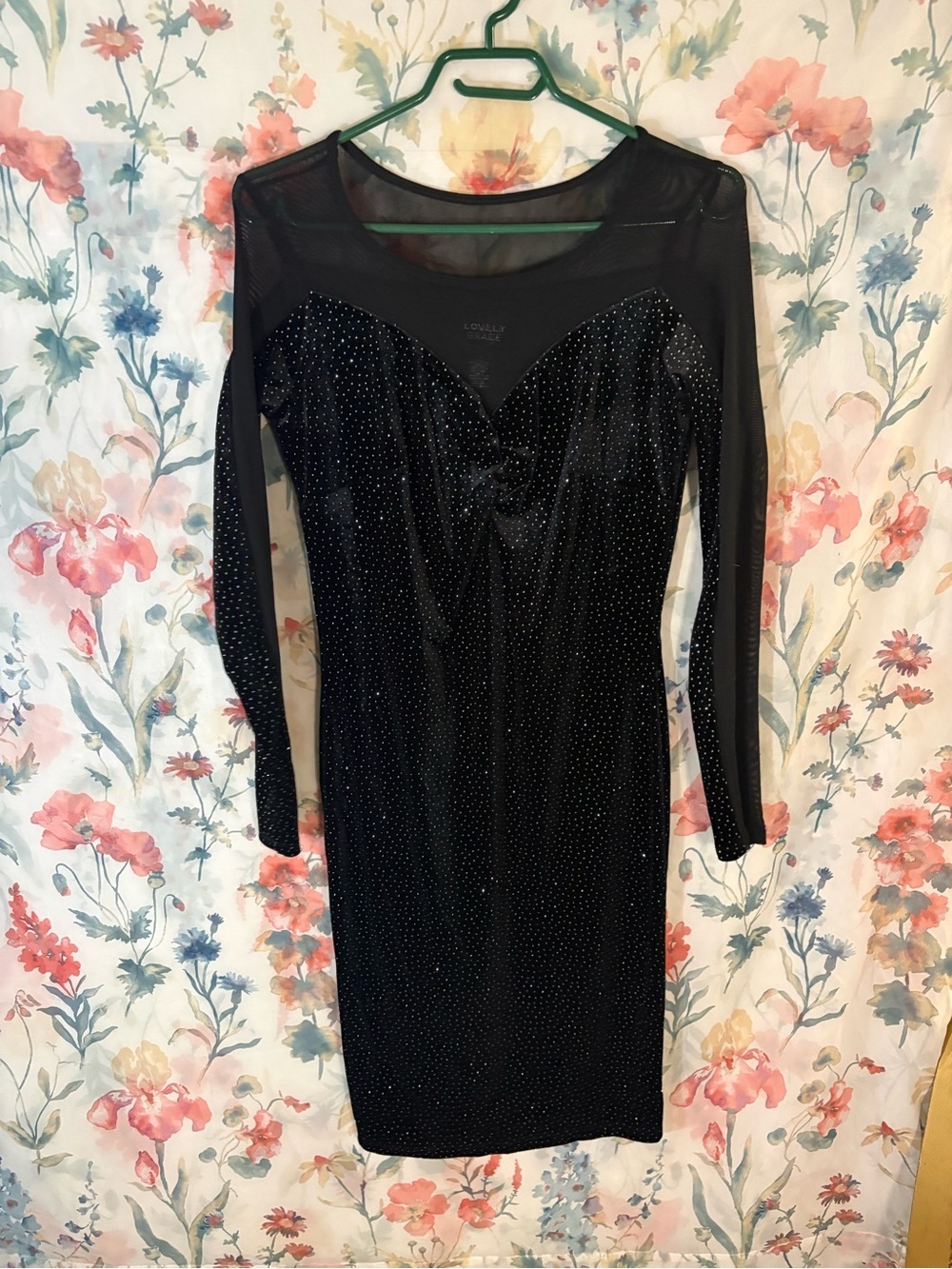 Vintage Elegant Black Mesh & Velvet Embellished Bodycon Dress